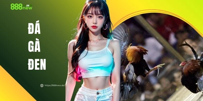 Đá Gà Đen - Thiên Đường Giải Trí Trực Tuyến Đầy Kịch Tính