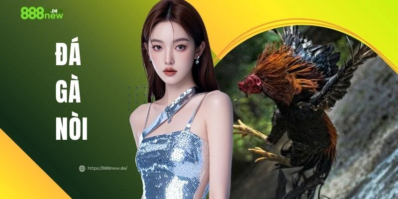 Đá Gà Nòi - Sân Chơi Kịch Tính Và Hấp Dẫn Cho Kê Thủ