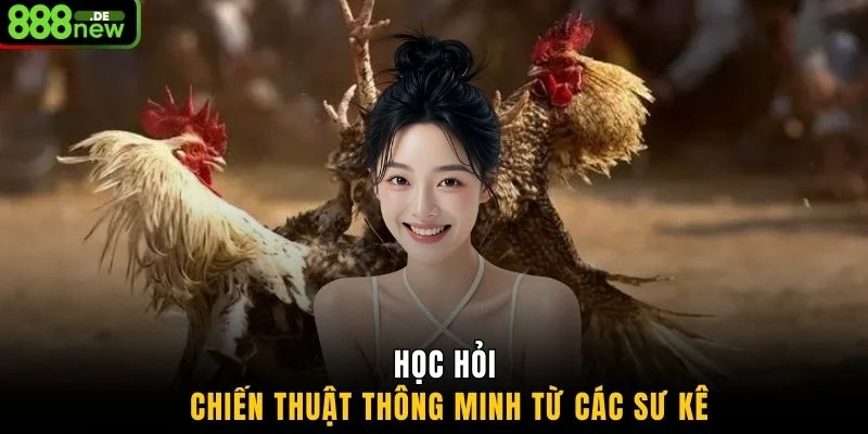 Học hỏi chiến thuật thông minh từ các sư kê