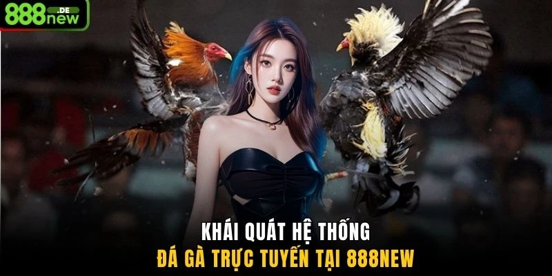 Khái quát hệ thống đá gà trực tuyến tại 888NEW