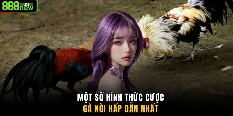 Một số hình thức cược gà Nòi hấp dẫn nhất