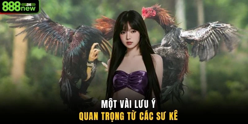 Một vài lưu ý quan trọng từ các sư kê