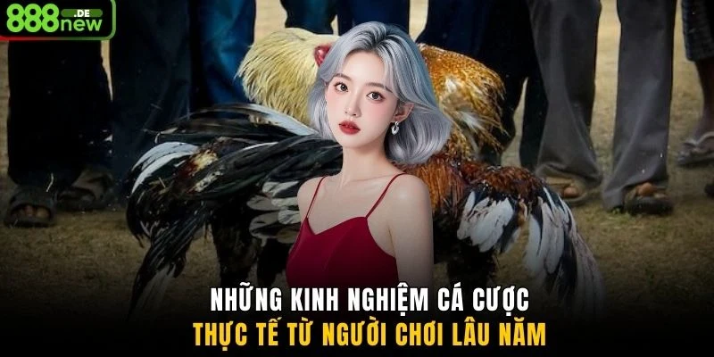 Những kinh nghiệm cá cược thực tế từ người chơi lâu năm