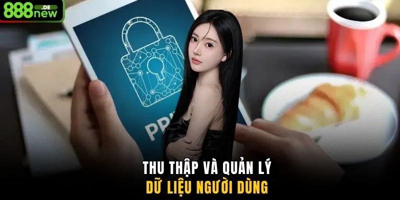 Thu thập và quản lý dữ liệu người dùng