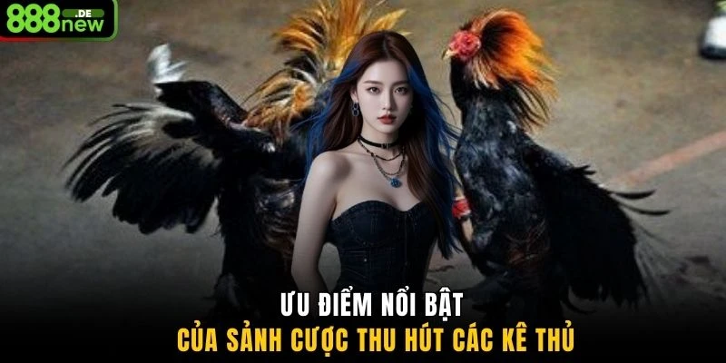 Ưu điểm nổi bật của sảnh cược thu hút các kê thủ